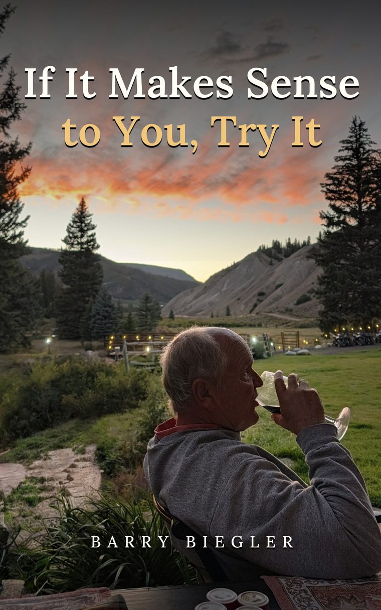 Cover of If It Makes Sense to You, Try It by Barry Biegler